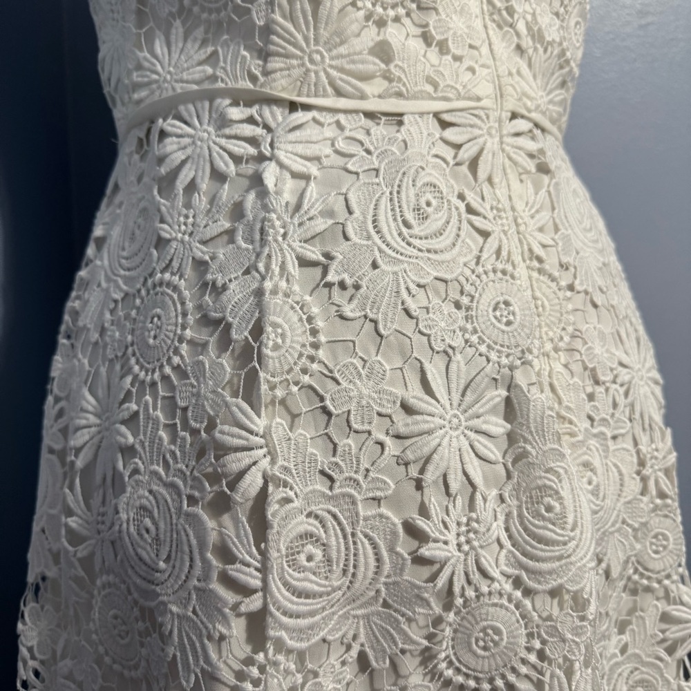 WHBM Floral Lace Dress - Picture 9 of 16